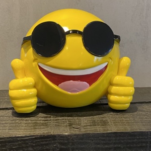 Smiley met Bril 14cm